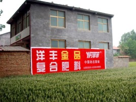 金华如何让墙体广告展现最大化效果