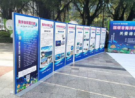 金华KT板的种类和知识。